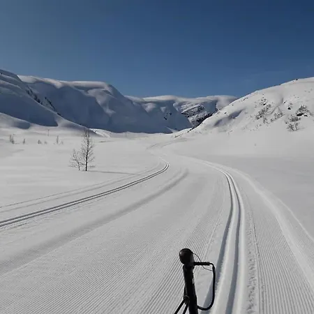 Fjordapartments, Holmen 19c Balestrand
